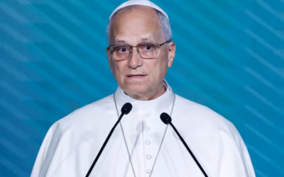 Catholic Church must do more to help sexual abuse survivors and hold church leaders to account, hard-hitting report says